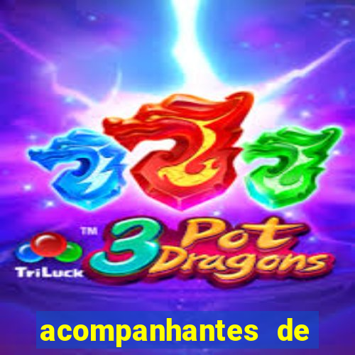 acompanhantes de luxo eventos